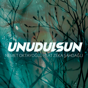 Unudulsun