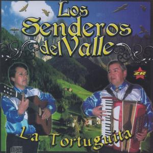 Cariño Sin condicion