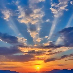 城堡里的隐喻之梦