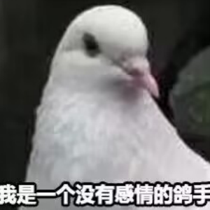 東京オータムセッション/东京秋日相会