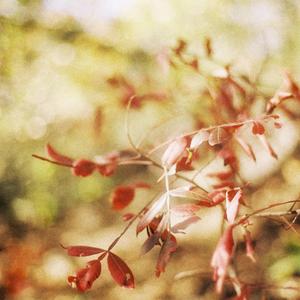 Simple Song (Single Version)