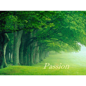 Hold On (feat. Steve Sandy)