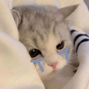 不得不爱（1.2×女生版）