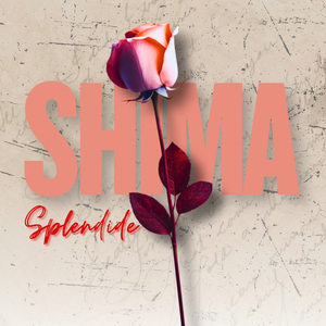 Shima