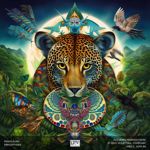 Perceptions (Extended Mix)