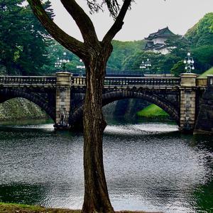 The Color of the Wine