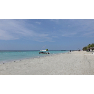 NEGRIL