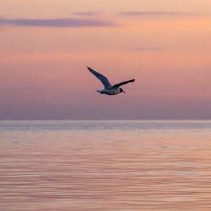 After And All With Anakhata