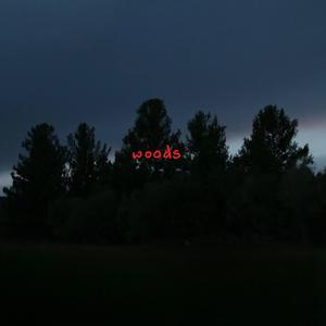 Woods