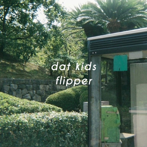 flipper (single ver.)
