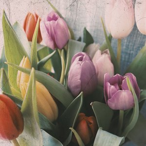 Impresionar Es Fácil