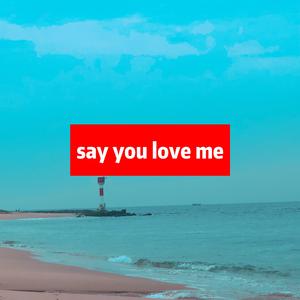 say you love me