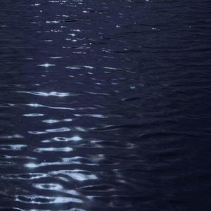 殉情的抹香鲸(吉他版)