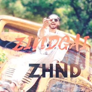 ZHINDGAI ZHND