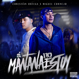 Si Mañana No Estoy