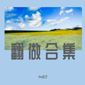 金玉良缘（暖暖东子 remix）