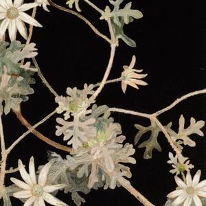 [FREE]Emo Guitar x R&B x Pop Type Beat "Haze"