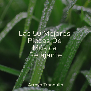 Serenidad Junto Al Fuego