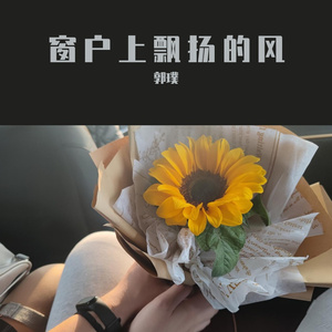 我们相遇那天的夜街和白马