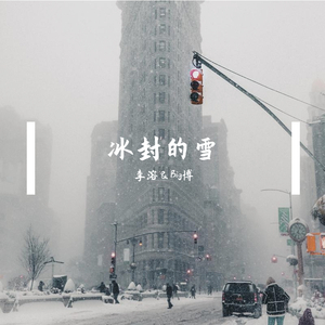 冰封的雪