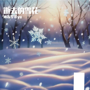 逝去的雪花