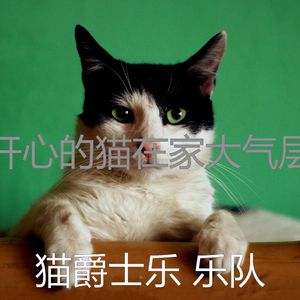 精彩小猫环境