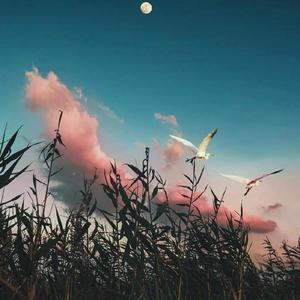 借个肩膀给我靠（Cover柯子颜）（翻自 柯子颜）