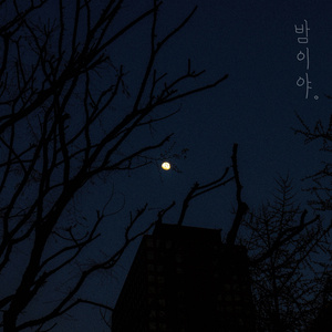 밤이야