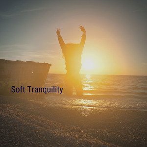 Large Industrial Air Conditioner