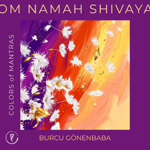 Om Namah Shivaya