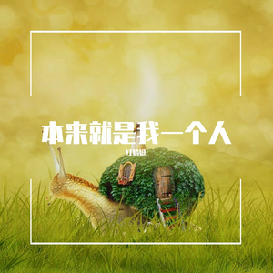 本来就是我一个人
