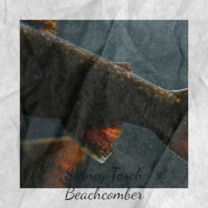 Sidney Torch Beachcomber