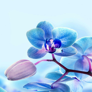 If Your Girl Only Knew