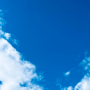 君がいるだけで。 (feat. 初音ミク)