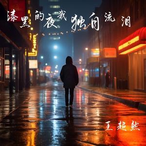 漆黑的夜我独自流泪
