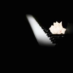 一路上有你 (钢琴曲)