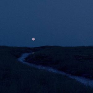 我怎么舍得忘了你