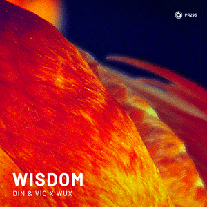 Wisdom (Extended Mix)