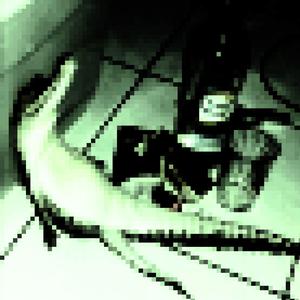 Drunkodile (SPED UP)