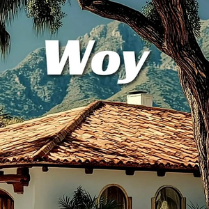 [不免费-]--Woy--Wonderful Melody- Afrobeat Type Beat