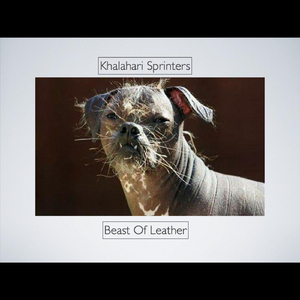 Beast of Leather