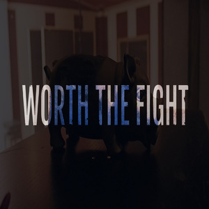 Worth the Fight