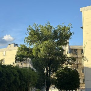 一首未署名的歌