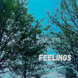 Feelings (feat. Hanna)