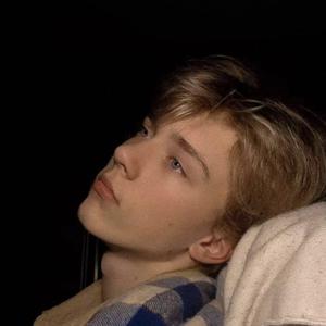 Let's Fall in Love for the Night