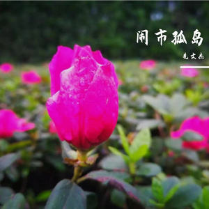 有没有人告诉你（2012年翻唱）