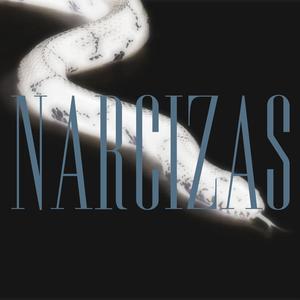 Narcizas