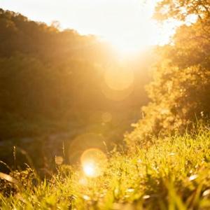 总是莫名的难过 (Cover 周深深)