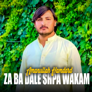 Za Ba Dale Shpa Wakam