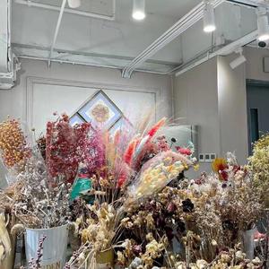 攒一口袋星星-白羊- 全民K歌，KTV交友社区